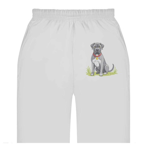 Cane corso dog adult - dog',