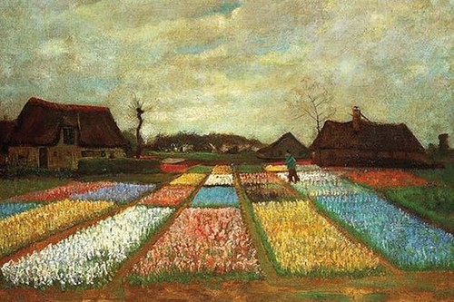 Flower beds holland - holland, vincent