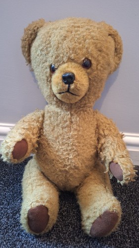 Vintage 1950s pedigree teddy - vintage,