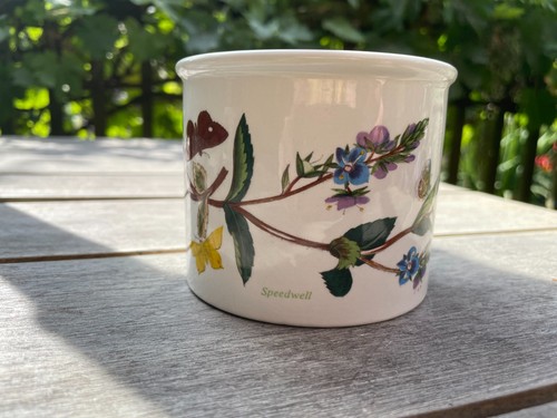 Vintage portmeirion botanic - vintage,