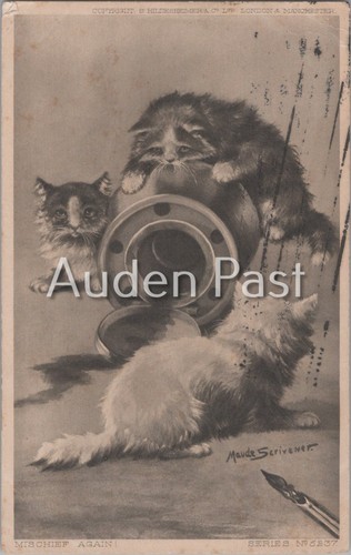 1907 maude scrivener - scrivener, kittens