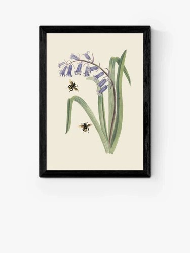 John lewis east end - lewis, prints