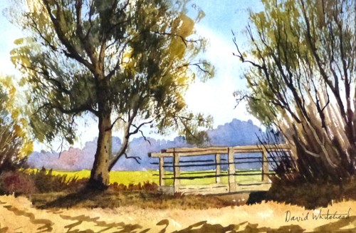 Original watercolour the - ,