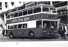 Bus photo 559ez belfast - bus, photo: