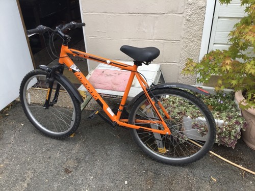 Mens bike