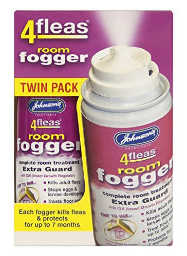 Johnson vet fleas room - fleas,