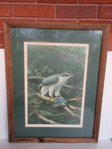 Rare 1977 ned - rare, smith