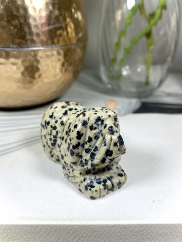 Dalmatian jasper animal - jasper,