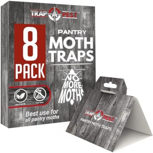 Pantry moth traps safe glue - moth,