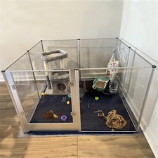 81cm tall spacious acrylic dog - spacious,