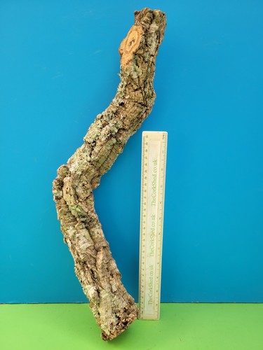 Cork bark branch 47cm - bark, snake