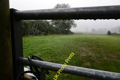Photo stewton manor farm - a3,