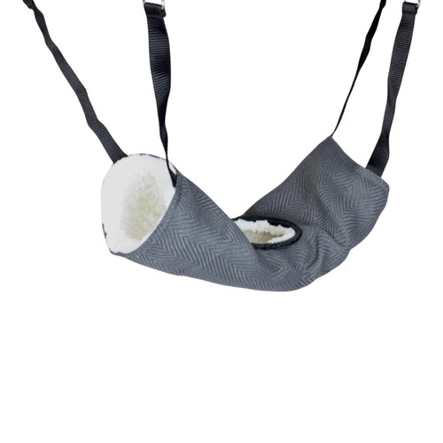 Rat ferret tunnel - rat,