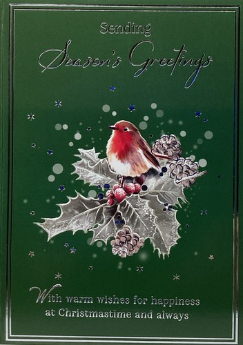 Open christmas card robin - open,
