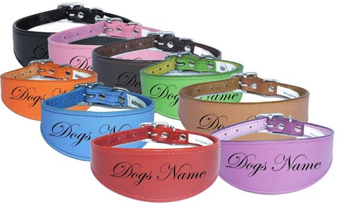 Personalized greyhound whippet - greyhound,