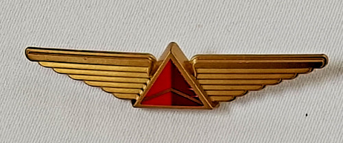Delta airlines junior pilot - airlines,