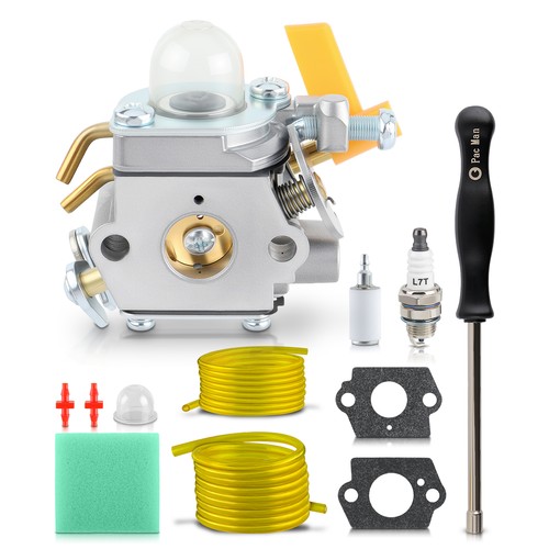 Oem ruixing carburetor - oem,