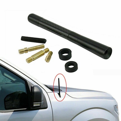 Universal car bee sting - bee-sting, stubby
