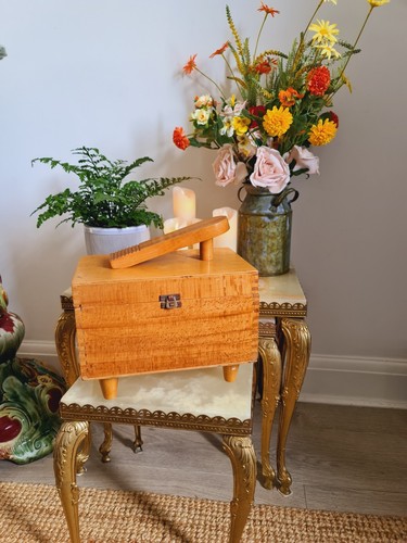 Vintage shoe shine box - vintage,