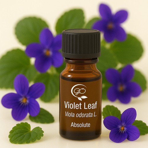 Violet leaf absolute - violet,