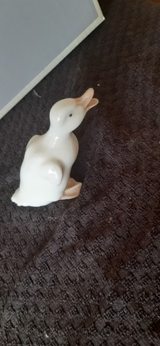Nao duck excellent - nao,