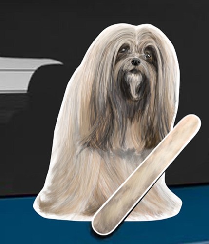 Lhasa apso dog rear - lhasa, car