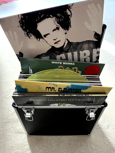 Punk rock metal vinyl - rock,