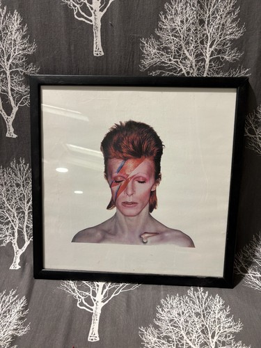 David bowie ziggy - stardust, art