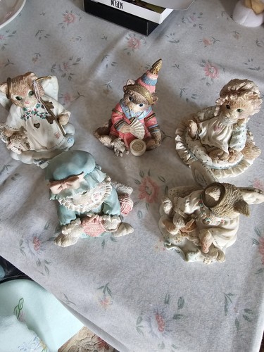 Calico kittens job lot 5 - kittens,
