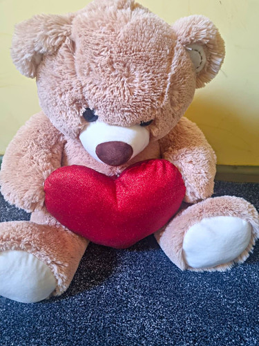 Beige plush teddy - plush, soft