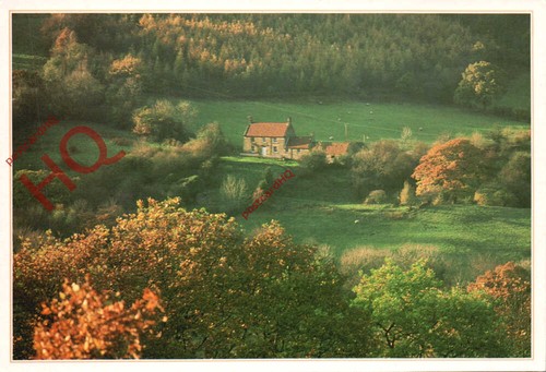 Picture postcard farndale - picture, postcard-:farndale