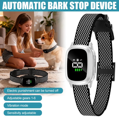 Anti bark electric shock - bark, dog