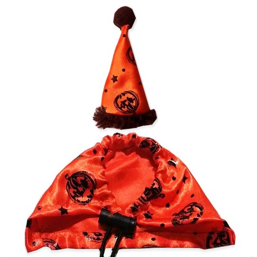 Bearded dragon halloween - dragon,
