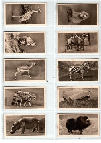Hill zoological series 1924 - hill:,