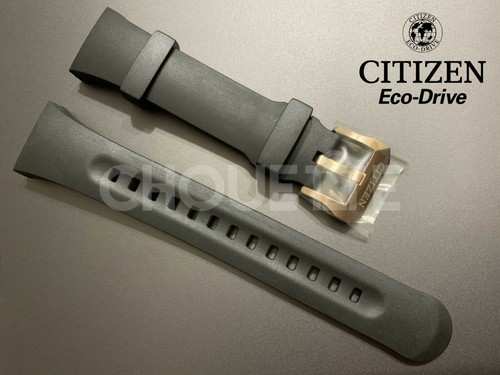 Citizen eco drive promaster - citizen,