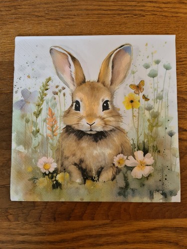 Rabbit paper napkins - rabbit,