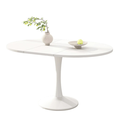 Modern extendable oval dining - modern,