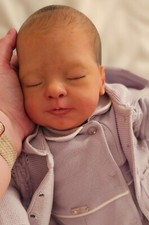 reborn art doll Avalynn by prototype artist Shirley Jones