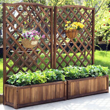 Raised Garden Bed with Trellis
