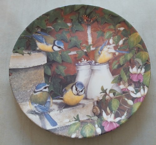 Pretty coalport blue tit bird - tit,