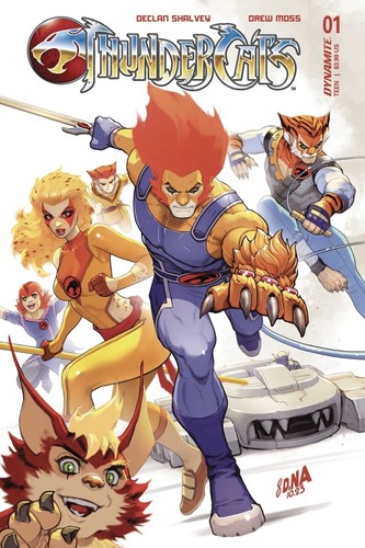 Thundercats cover a - #1,