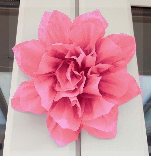 Pompom tissue paper flower - paper,