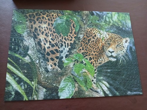 Bbc earth jaguar - earth, jigsaw