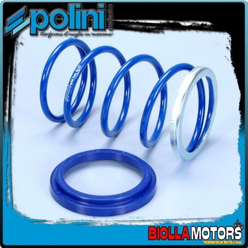 243 097 polini contrast - 243.097,