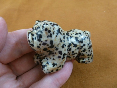 Dog 715 spotted bulldog - y-dog-eb-715),