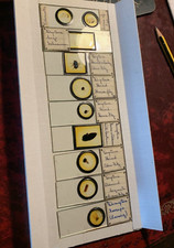 Set of 9 Vintage Prepared Entomology Microscope Slides of Various Insects