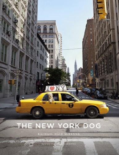 The new york - new,