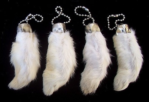 Dangerous threads rabbit - threads,