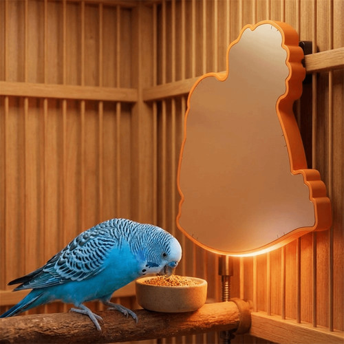 Parrot heating board - parrot, bite