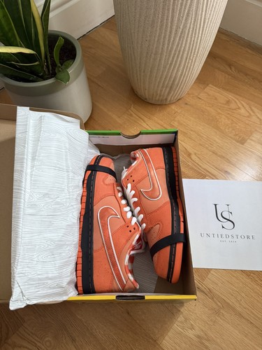Nike dunk low concepts - sb,